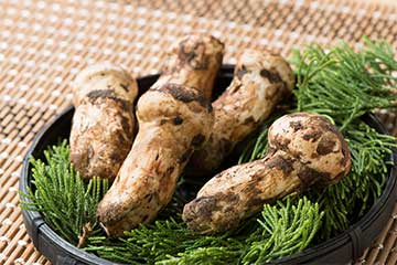 【どっさりの高価な松茸お持ち帰りと具沢山ちゃんこきのこ御膳など日帰り3食付きで11,990円!/さいたま新都心発】びっくり!なんと生松茸5本&秋の上州りんご狩り体験などどっさり3キロお持ち帰り「旅フルコース」日帰り3食付き1